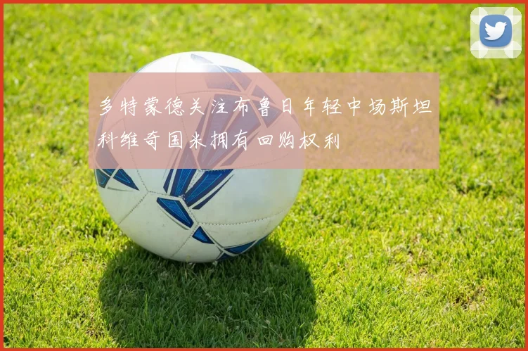 多特蒙德关注布鲁日年轻中场斯坦科维奇国米拥有回购权利