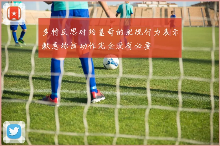 多特反思对约基奇的犯规行为表示歉意称该动作完全没有必要