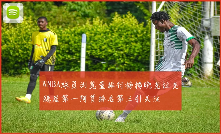 WNBA球员浏览量排行榜揭晓克拉克稳居第一阿贾排名第三引关注