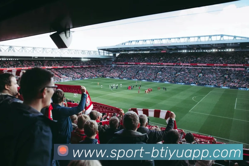 B体育平台生态图